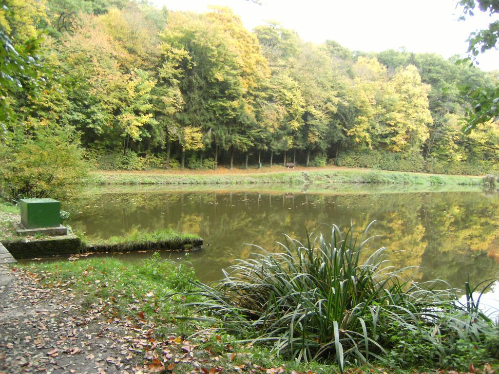 Clos Du Ry De Snaye Beauraing